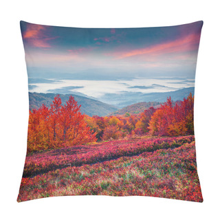 Personality  Autumn Landscape In The Carpathian Mountains. Pillow Covers