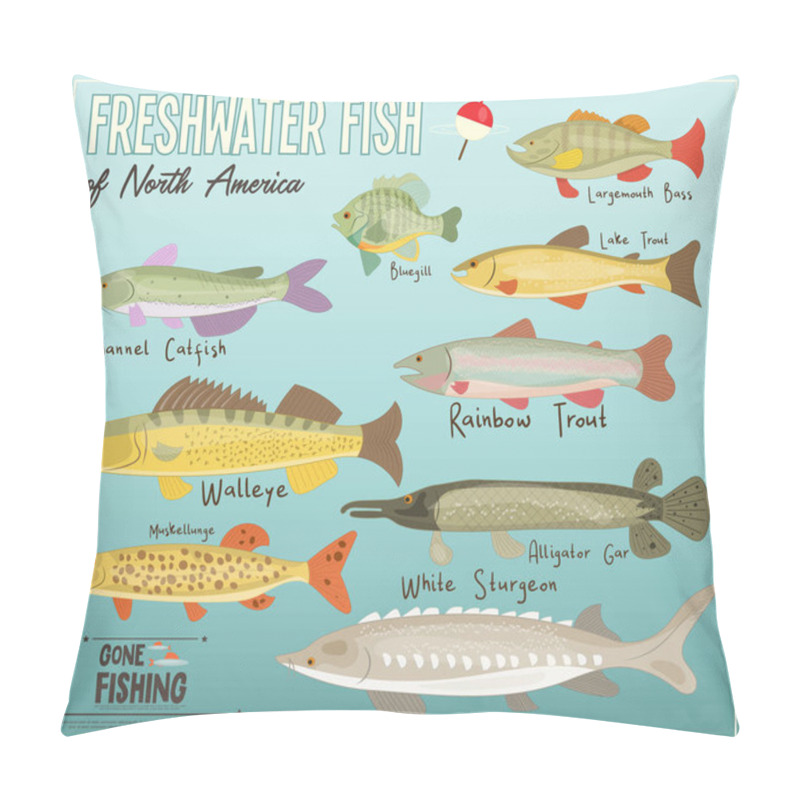 Personality  Freshwater Fish Of North America. Infographic Poster For Fishing Club. Vector Illustration. Pillow Covers