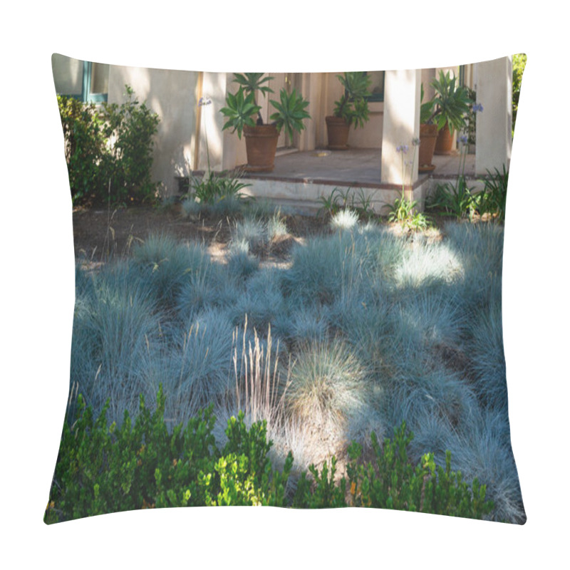 Personality  Southern California yard and plants pillow covers