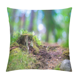 Personality  Tree Stump In Scandinavian Forest Pillow Covers