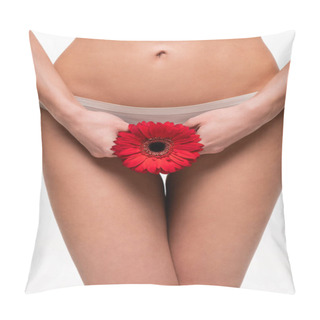 Personality  Close Up View Of Female Hands Holding Red Gerbera Flower Near Bikini Area Isolated On White Pillow Covers