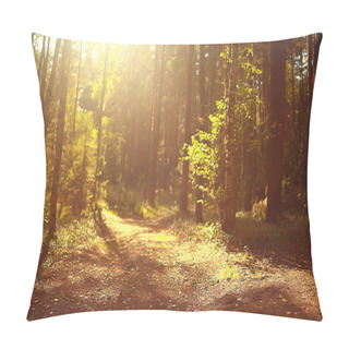 Personality  Autumn In The Coniferous Forest Landscape, Abstract View Of The Autumn Yellow Forest, Beautiful Nature Pillow Covers