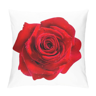 Personality  Rose Isolated On The White  Pillow Covers