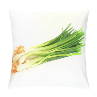 Personality  Spring Onion Pillow Covers