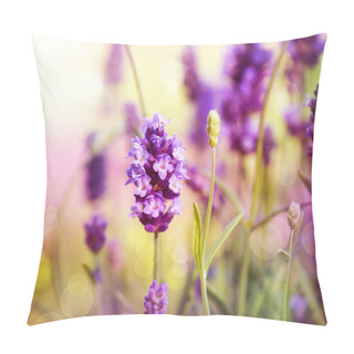 Personality  Lavender Field Pillow Covers