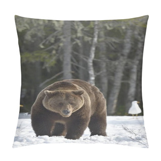 Personality  Brown Bear In Spring Forest. Pillow Covers