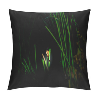 Personality  Parrot Flapping His Wings Pillow Covers