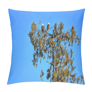 Personality  A Female Bald Eagle Perched On The Left Hand Side Watches The Surroundings With Her Partner On Top Of A Cedar Tree Set Against A Clear, Blue Sky.  Pillow Covers