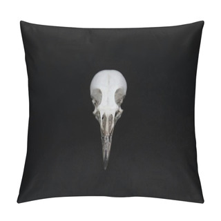 Personality  A Skull Of The Picinae Bird Pillow Covers