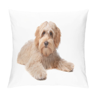 Personality  Labradoodle Puppy Pillow Covers