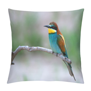 Personality  Exotic Tropical Bird Pillow Covers