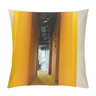 Personality  Long Corridor With Walls Painted In Vibrant Orange Color In Contemporary Coworking Office With Modern High Tech Style Interior, Workspace Organization Concept Pillow Covers