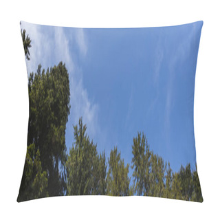 Personality  Bottom View Of Spruce Trees And Blue Sky At Background, Banner  Pillow Covers