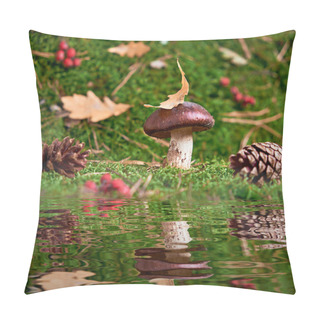 Personality  Brown Suillus Mushroom In The Forest, Nestled Among Green Moss And Reflected In The Water. A Magical Woodland Moment, Serene And Captivating. Pillow Covers
