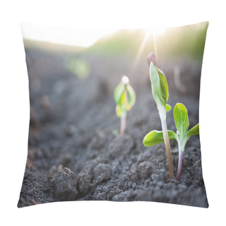 Personality  Green Plants Pillow Covers