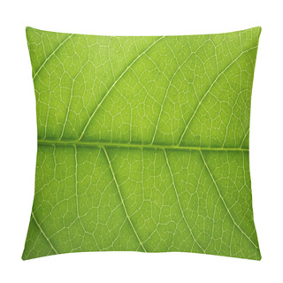 Personality  Fresh Tree Leaf Texture Pillow Covers