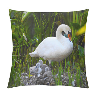 Personality  Swan Mother And Young Little Swans In The Nest Pillow Covers