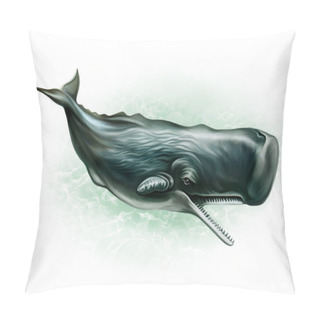 Personality  Sperm Whale (Physeter Macrocephalus), Realistic Illustration, Isolated On White Background Pillow Covers