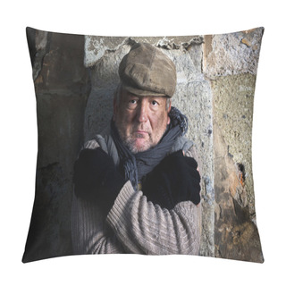 Personality  Homeless Pillow Covers