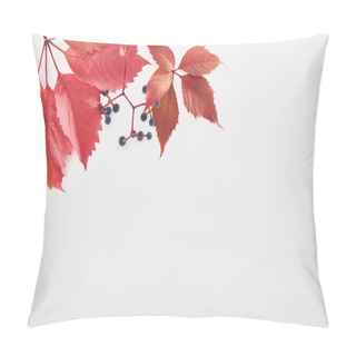 Personality  Top View Of Wild Grapes Branch With Red Leaves And Berries Isolated On White With Copy Space Pillow Covers