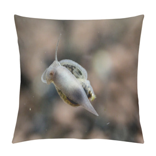 Personality  Bubble Snails On A Window Of An Aquarium Pillow Covers