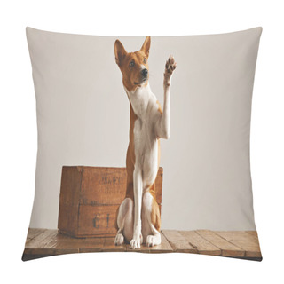 Personality  Adorable Dog Giving His Paw Pillow Covers