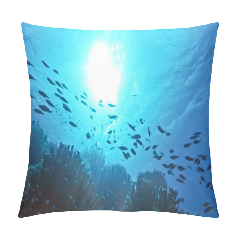 Personality  Shallow reef pillow covers