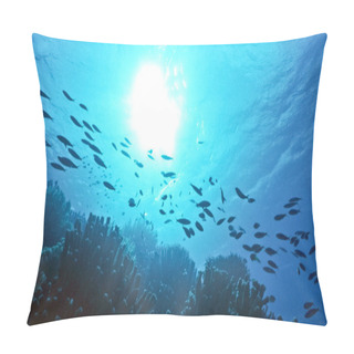 Personality  Shallow Reef Pillow Covers