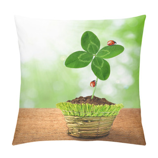 Personality  Clover With Ladybugs Pillow Covers
