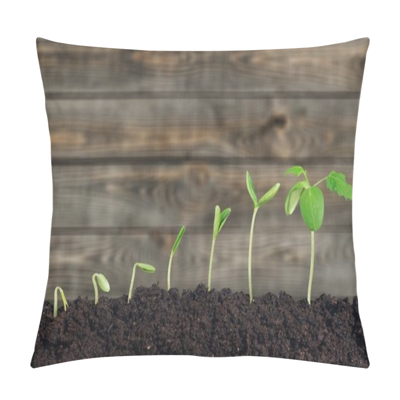 Personality  Growth of new life pillow covers