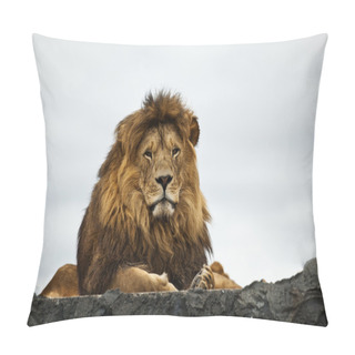 Personality  Ferocious Lion Pillow Covers