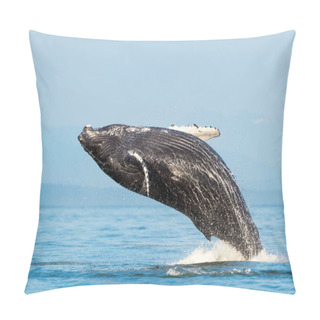 Personality  The Humpback Whale Breach, Megaptera Novaeangliae, Strait Of Georgia, Vancouver Island, BC Canada Pillow Covers