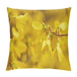 Personality  Close Up Of Yellow Blossoming Flowers With Big Petals On Tree Branches Pillow Covers