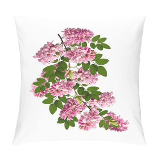 Personality  Floral Arrangement. Branch With Leaves And Flowers Of Pink Acacia Isolated On White Background. Element For Creating Designs, Cards, Patterns, Floral Arrangements, Wedding Cards And Invitations. Pillow Covers