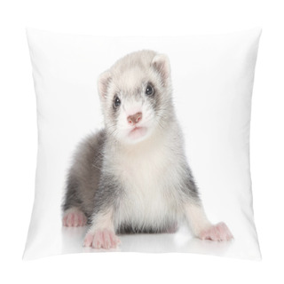 Personality  Ferret Puppy Pillow Covers