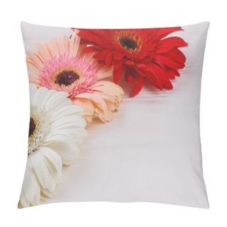 Personality  Colorful Gerber Daisies Flowers Close Up. Pillow Covers