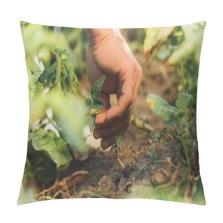 Personality  Partial View Of Farmer Planting Green Sprout In Field, Selective Focus Pillow Covers