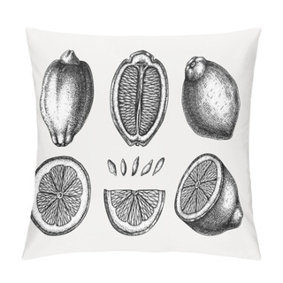 Personality  Vintage Ink Hand Drawn Citrus Fruits Collection. Vector Illustra Pillow Covers