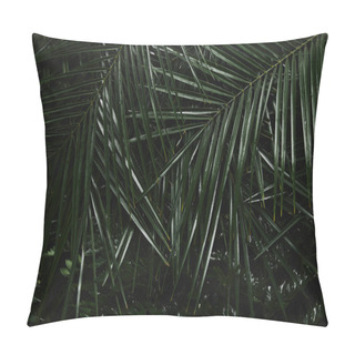 Personality  Close-up View Of Beautiful Green Wet Palm Leaves And Fern Pillow Covers