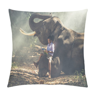 Personality School Boy Studying In The Jungle With His Friend Elephant Pillow Covers