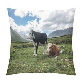 Personality  Cows Pillow Covers