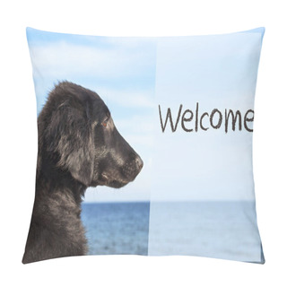 Personality  Dog At Ocean, Text Welcome Pillow Covers