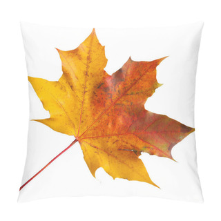 Personality  Autumn Maple Leaf Pillow Covers