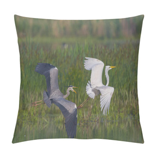 Personality  Close-up Gray Heron (ardea Cinerea) In Flight With White Egret (egretta Alba) Pillow Covers