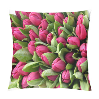 Personality  Colorful Pink Primroses Pillow Covers