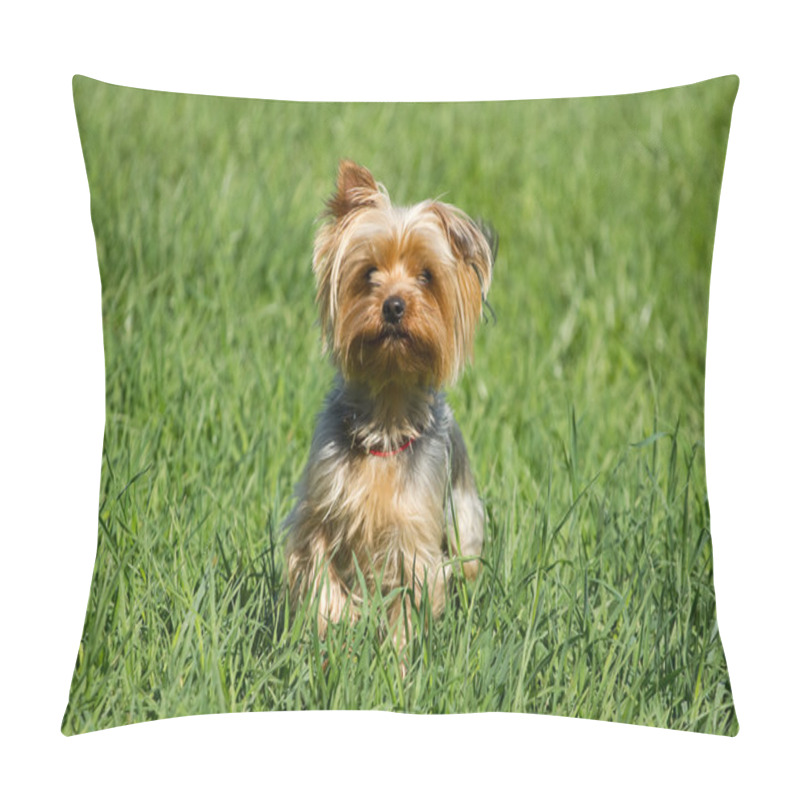 Personality  Yorkshire Terrier Dog pillow covers