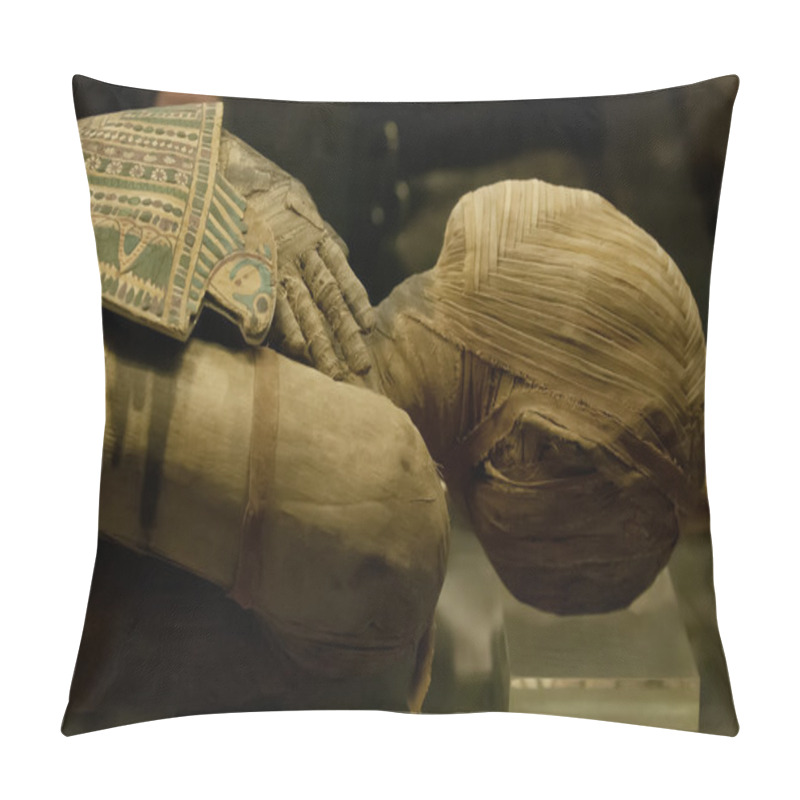 Personality  Egyptian mummy pillow covers