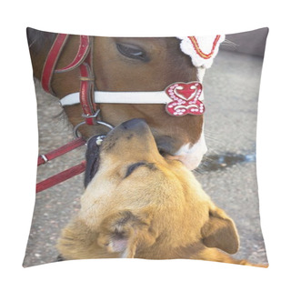 Personality  Kiss Horses And Dogs Pillow Covers