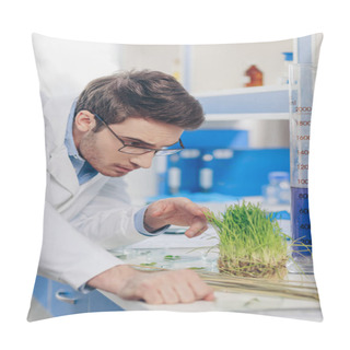 Personality  Biologist Working With Grass In Laboratory Pillow Covers