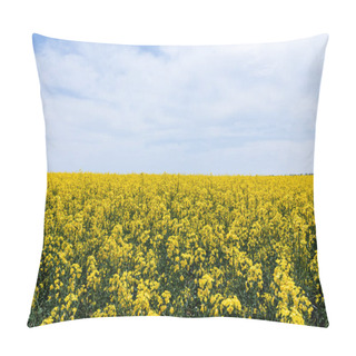 Personality  Yellow And Blossoming Wildflowers Against Blue Sky With Clouds In Summer  Pillow Covers
